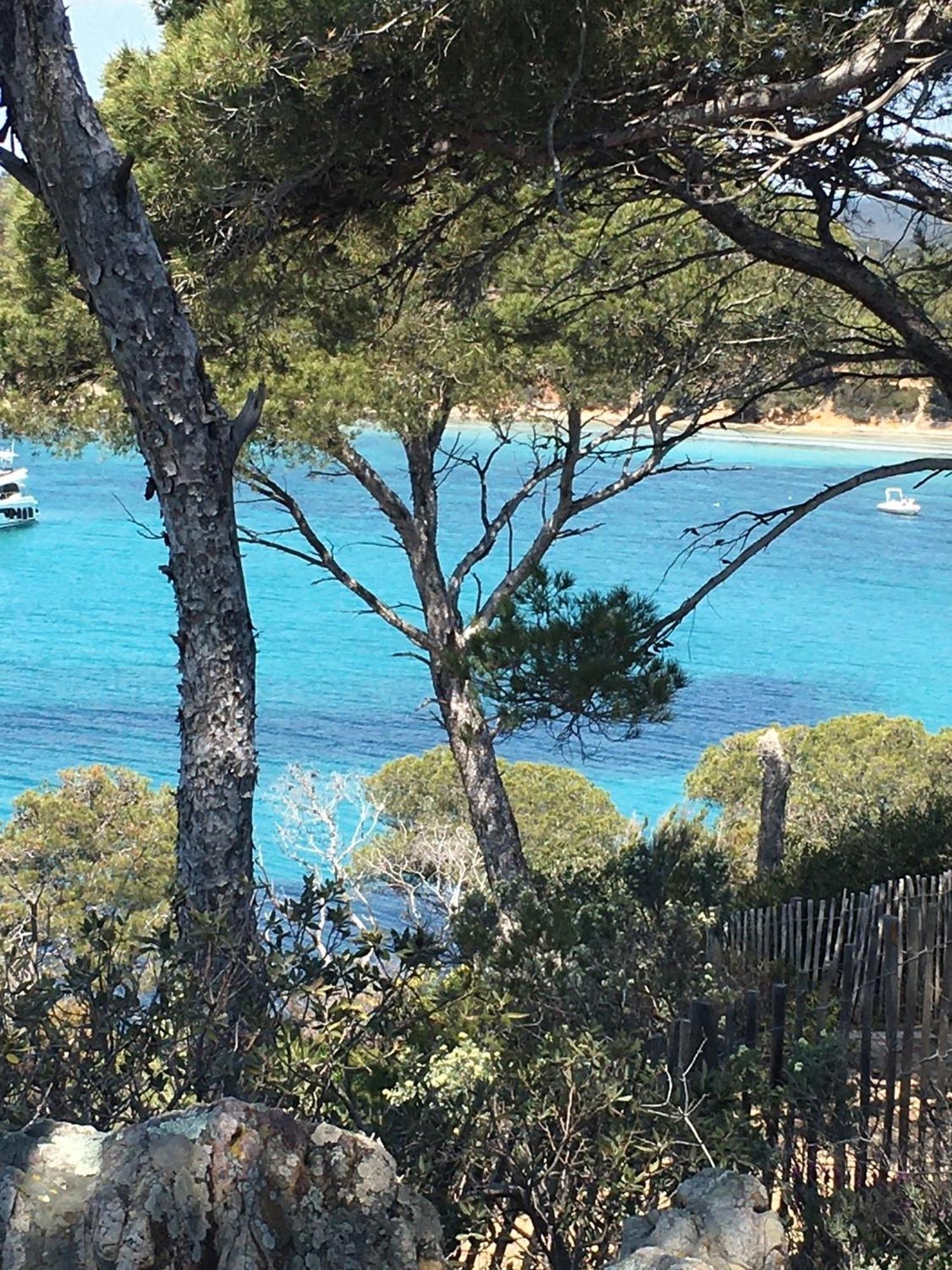 T3 Front De Mer Dernier Etage Vue Mer Petit Havre De Paix Pour Vos Vacances Emplacement Unique Vue Mer Panoramique A 180 Degres Pour Ce T3 En Face De La Plage Front De Mer Vue Sur Les Iles 5 Et Dernier Etage Avec Ascenseur Le Lavandou Eksteriør billede
